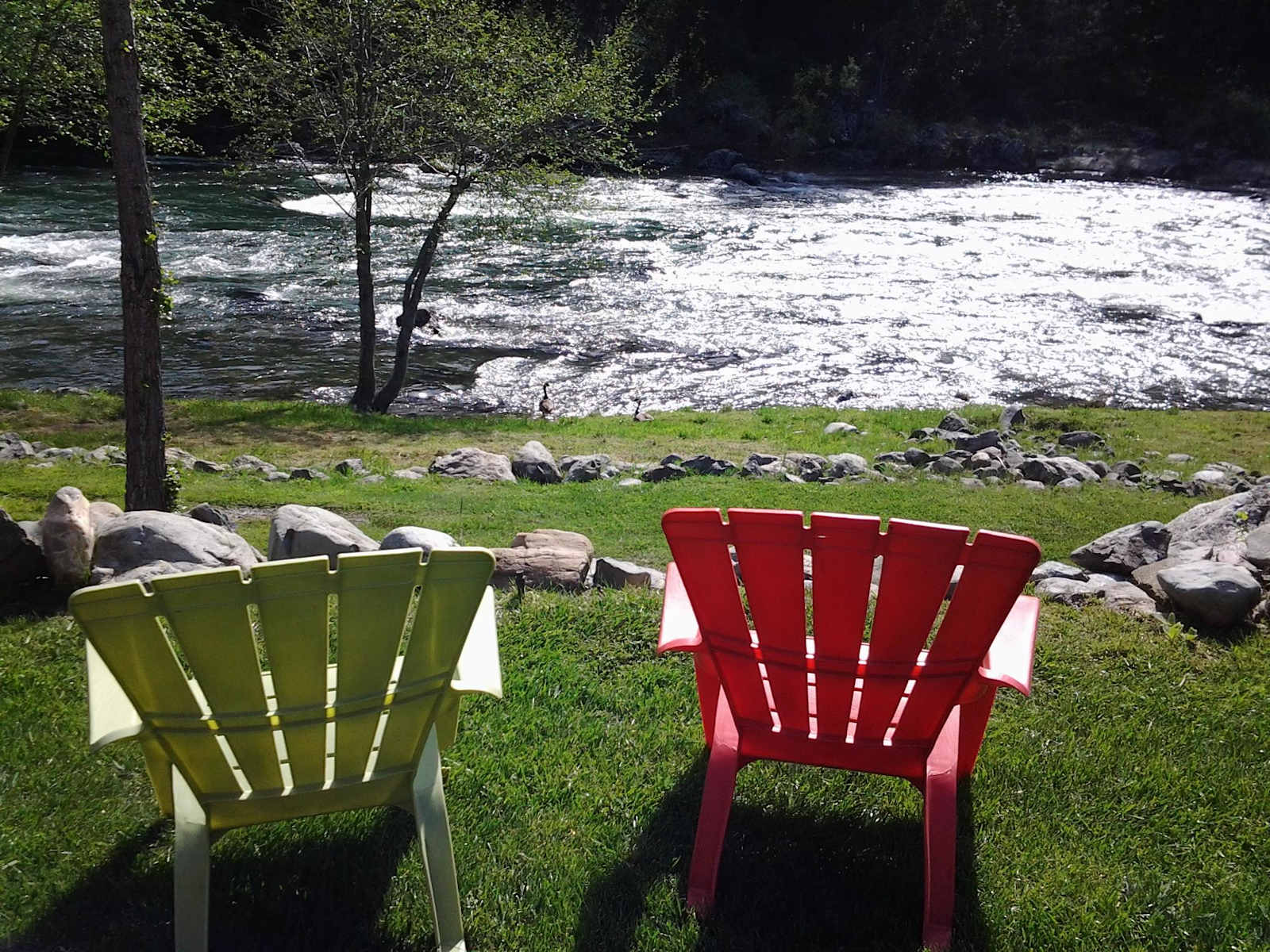 Explore the Trinity Alps! - Junction City, California - glamping.directory