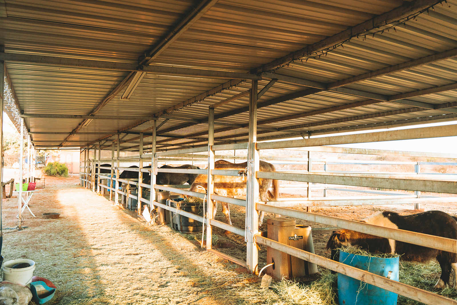 Rural Ranch & Petting Farm - Cornville, Arizona - glamping.directory