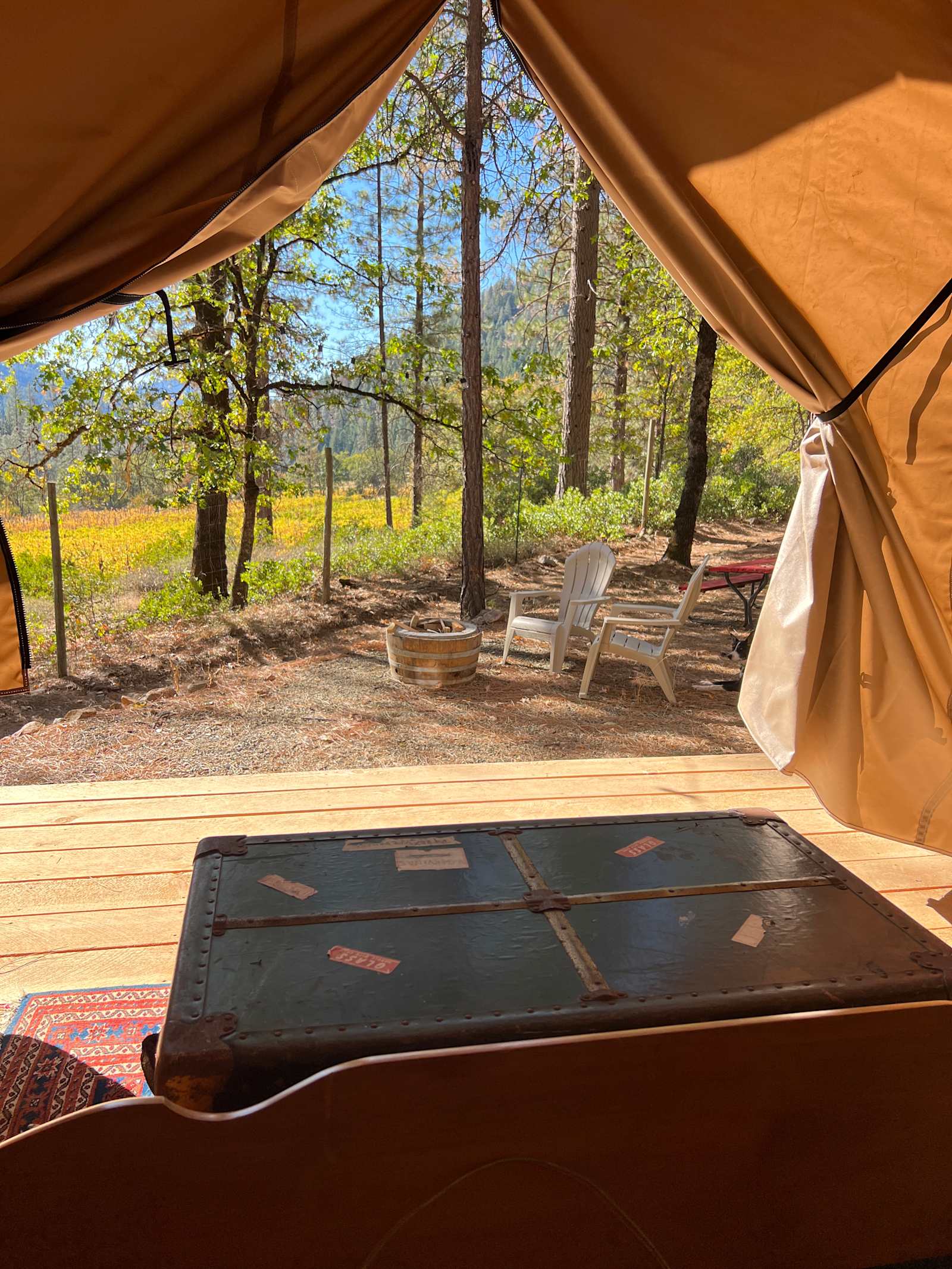 Alpen Vineyard Hideaway - Trinity Center, California - glamping.directory