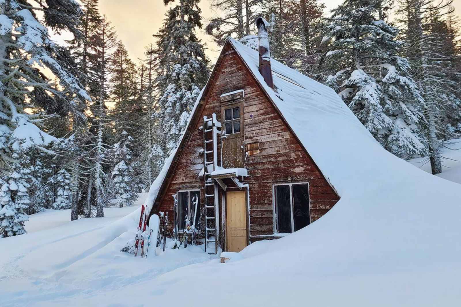 Ludlow Hut - glamping.directory