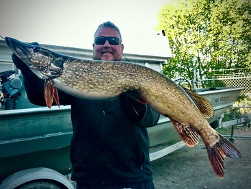 Relaxing Rustic Cabin Retreat, Dry Cabin Experience And Year Round Fishing Fun in Houston, Alaska - Houston, Alaska - glamping.directory