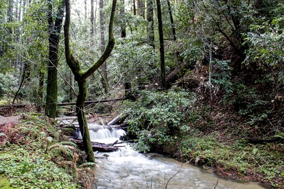 Rural Ranch Vacation Rental near Sequoia National Forest, California - Caliente, California - glamping.directory