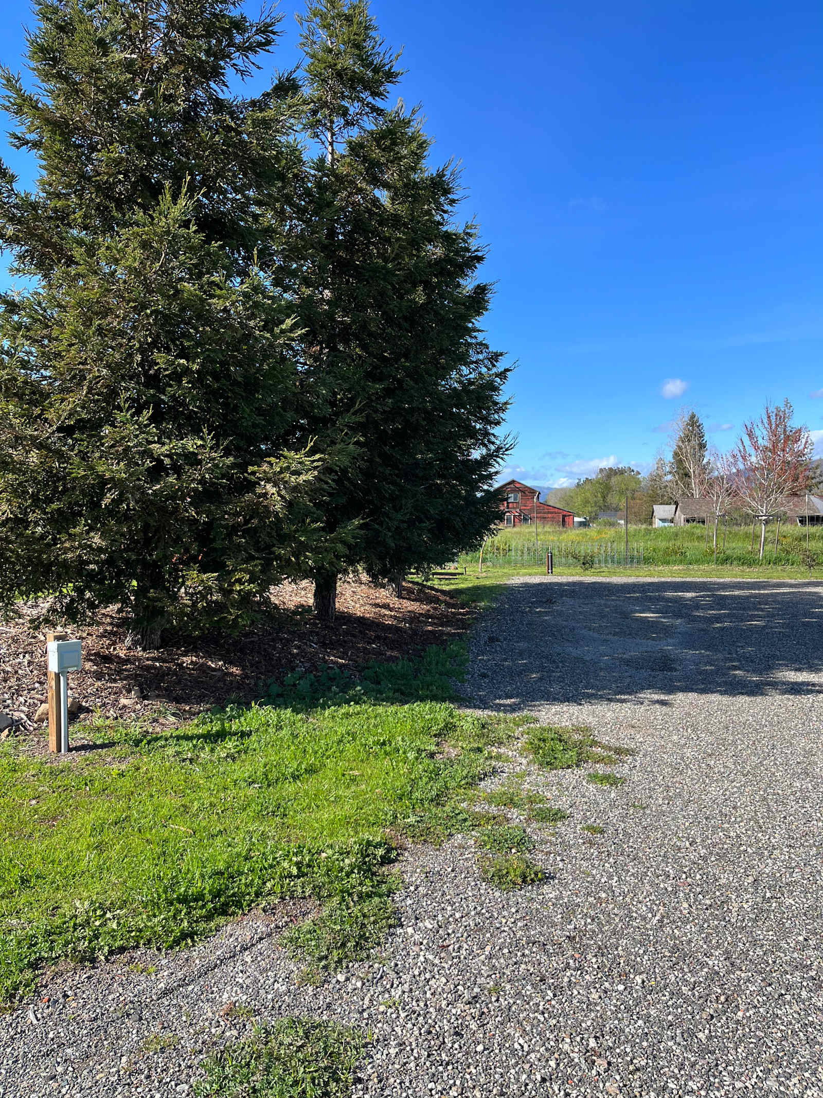 The Bird Nest - Sonoma, California - glamping.directory