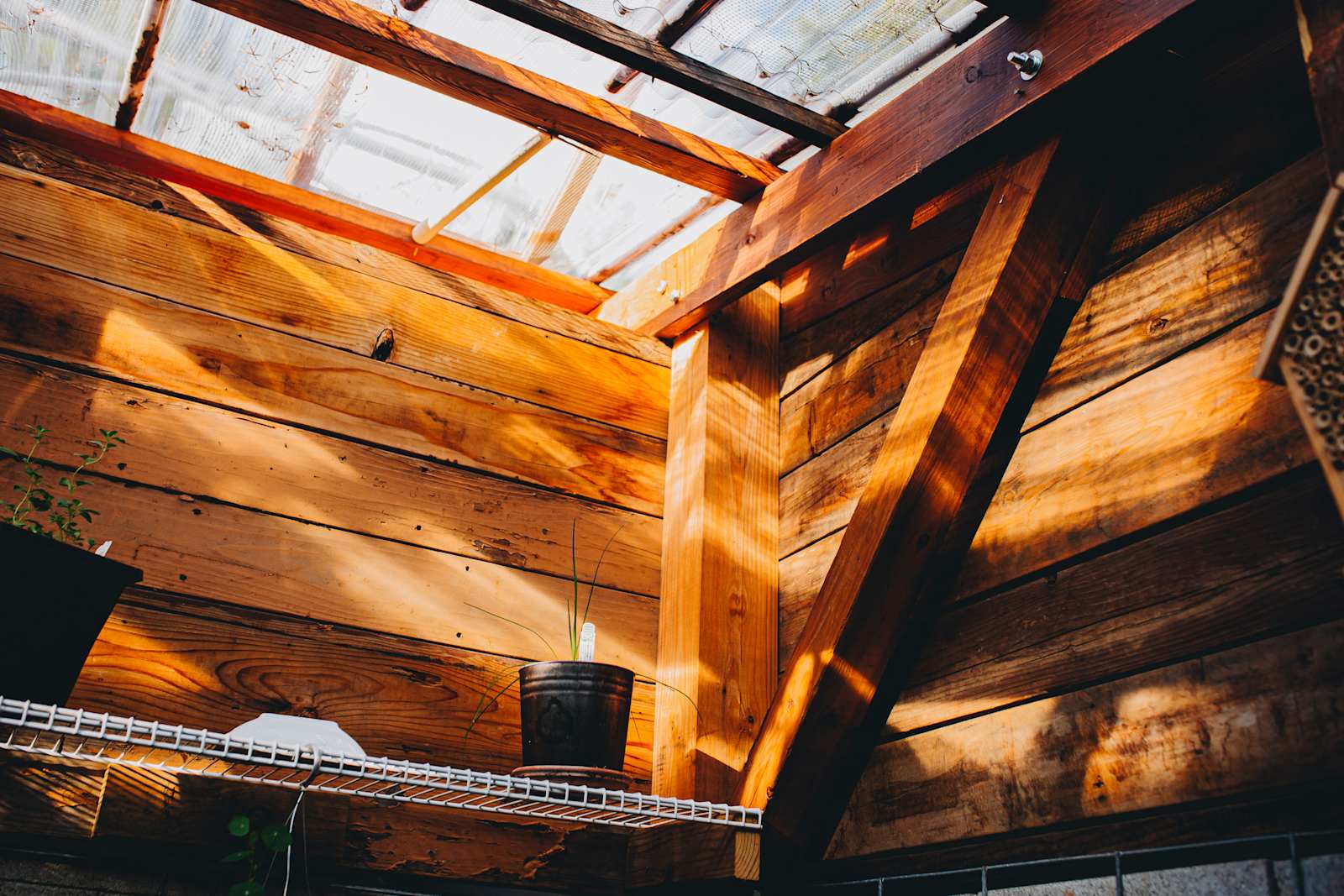 Indian Mountain Homestead - Bailey, Colorado - glamping.directory