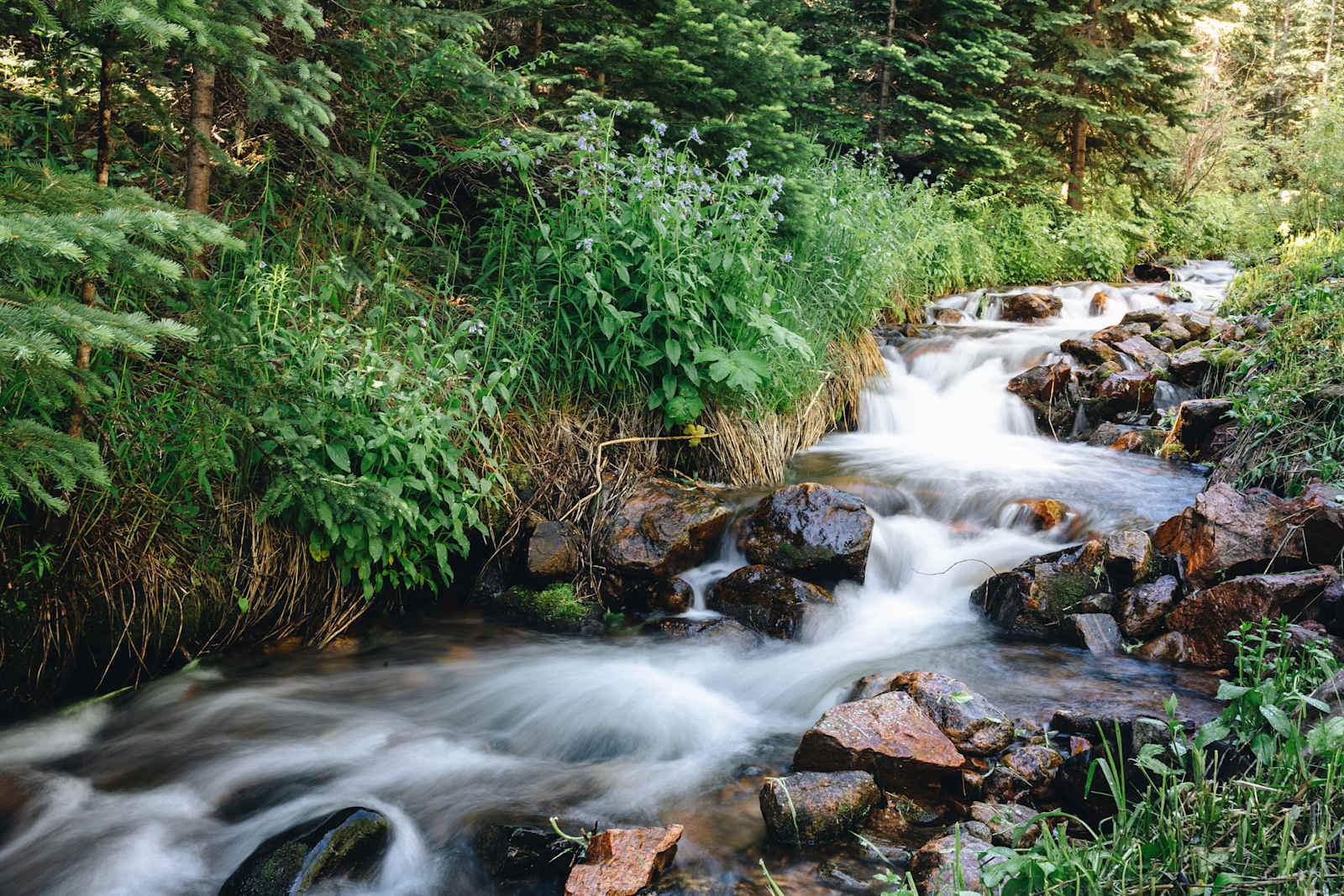 Indian Mountain Homestead - Bailey, Colorado - glamping.directory