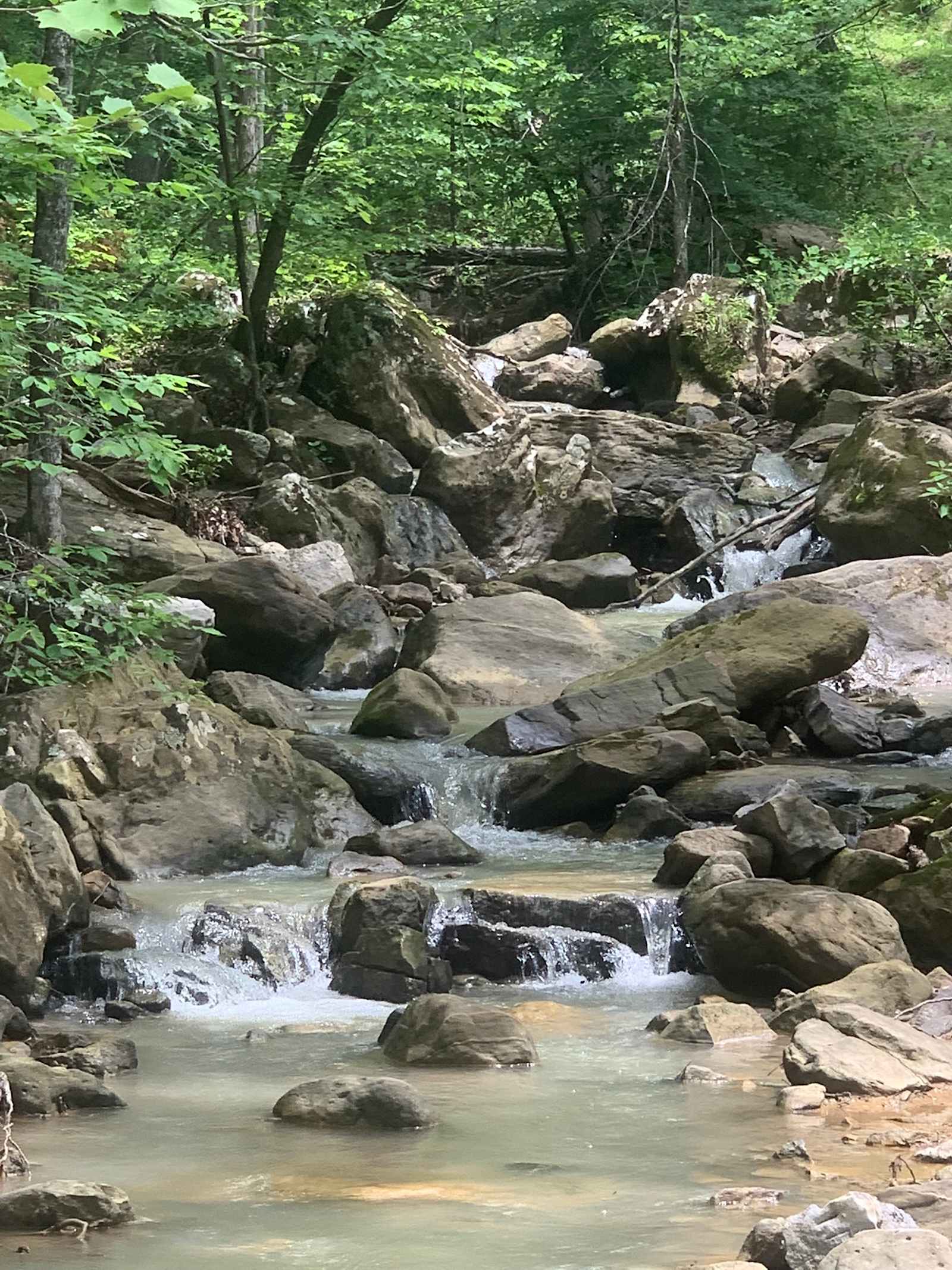 Enchanted Ozark Camp and Cabins - Jasper, Arkansas - glamping.directory
