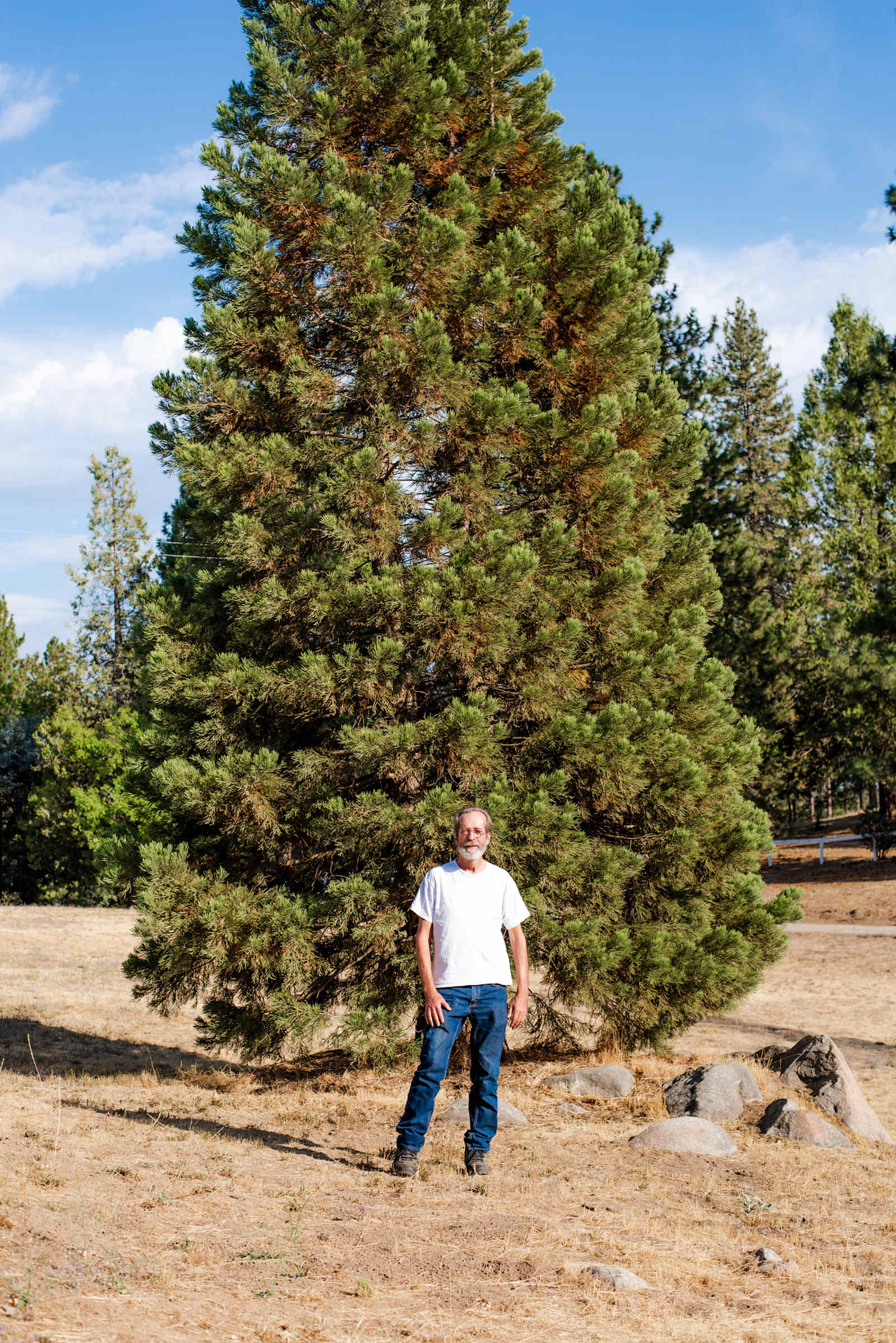 Camp Hye Sierra - glamping.directory