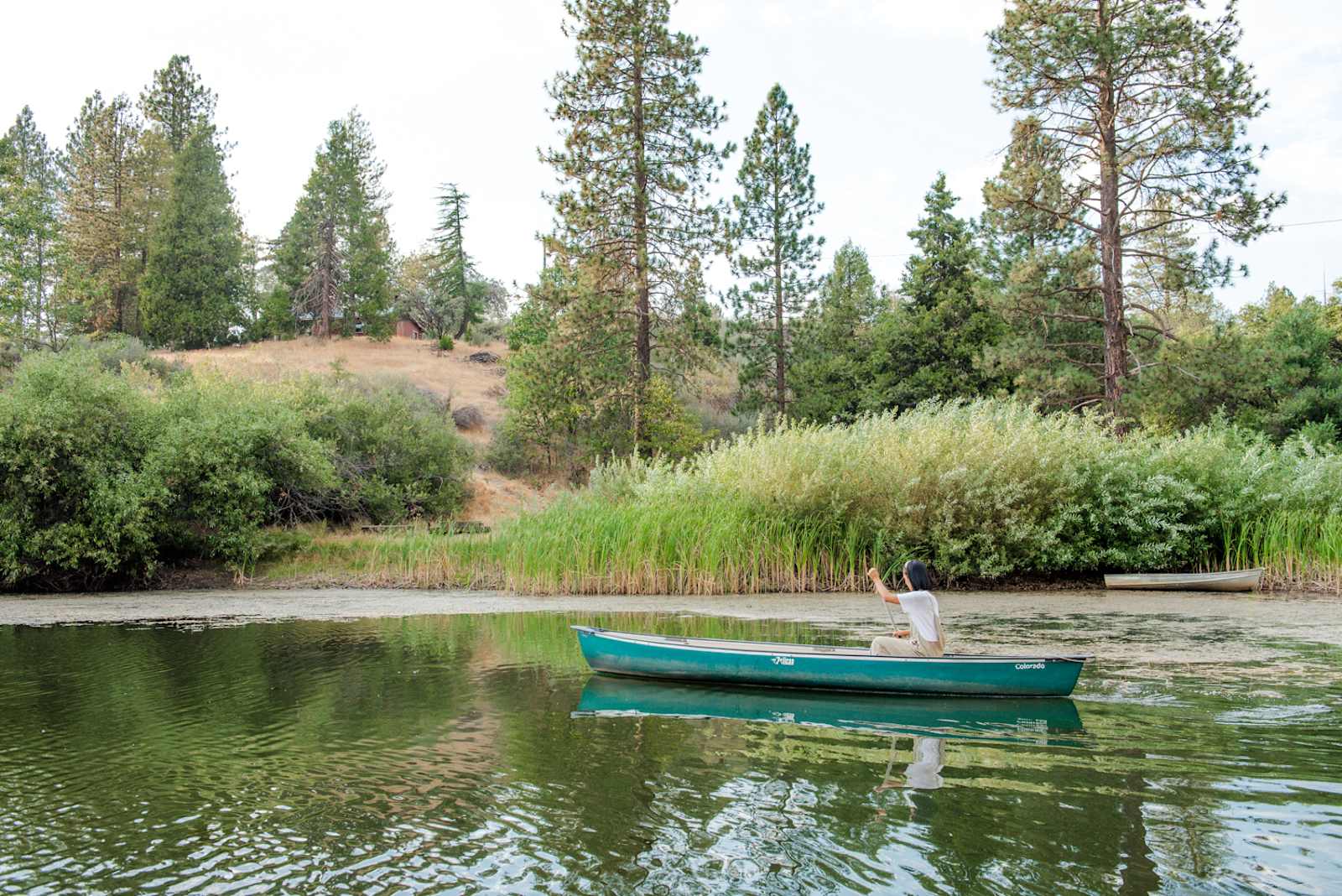 Camp Hye Sierra - Dunlap, California - glamping.directory