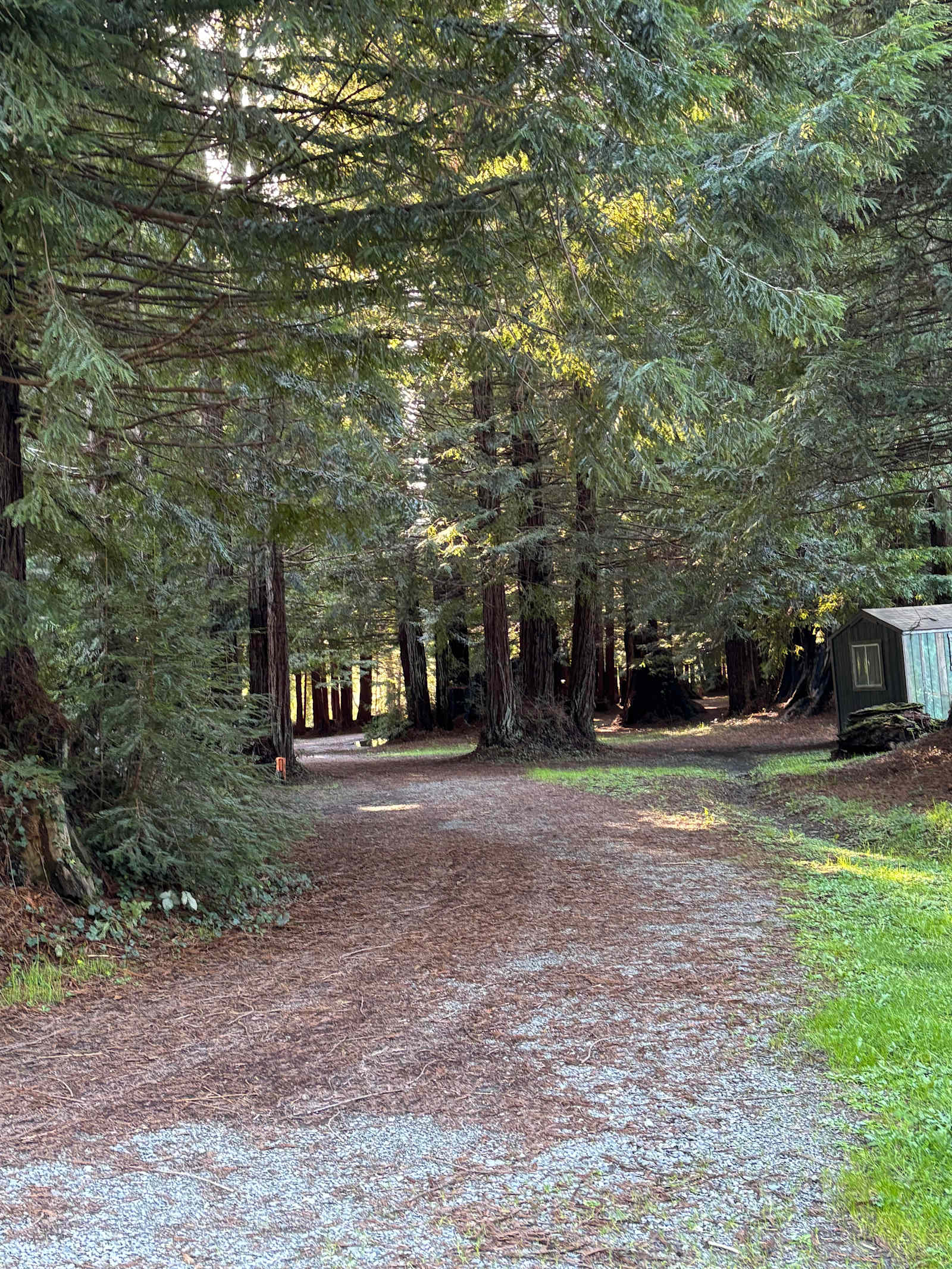 Redwood Family Camp - Scotia, California - glamping.directory