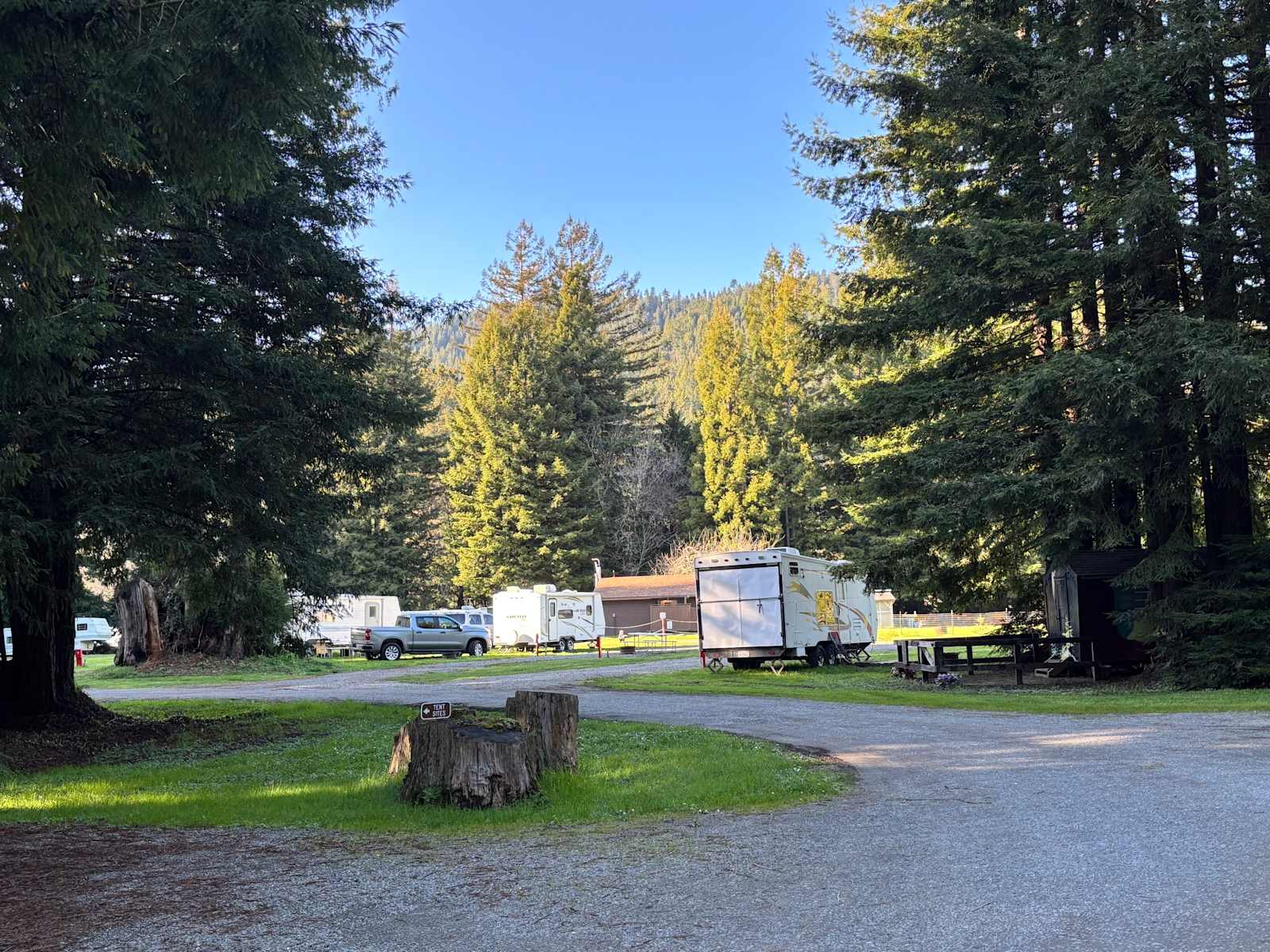 Redwood Family Camp - Scotia, California - glamping.directory