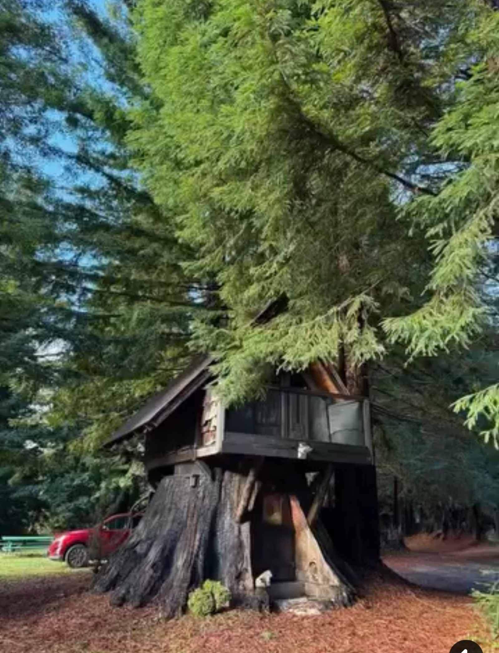 Redwood Family Camp - glamping.directory