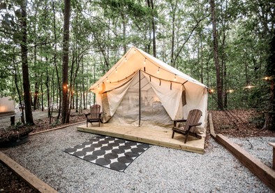 Incredible Tented Cabin with Stunning Forest Views in Sarasota, Florida - Sarasota, Florida - glamping.directory
