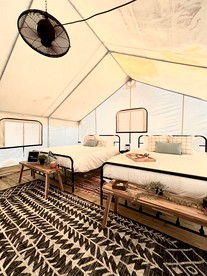 Incredible Tented Cabin with Stunning Forest Views in Sarasota, Florida - Sarasota, Florida - glamping.directory