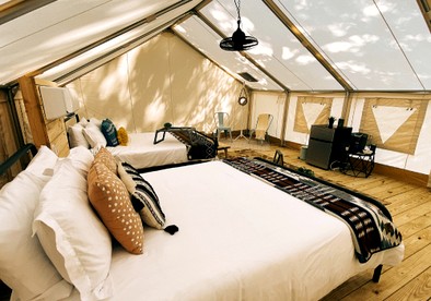 Incredible Tented Cabin with Stunning Forest Views in Sarasota, Florida - Sarasota, Florida - glamping.directory