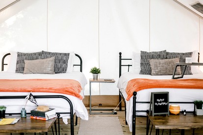 Incredible Tented Cabin with Stunning Forest Views in Sarasota, Florida - Sarasota, Florida - glamping.directory