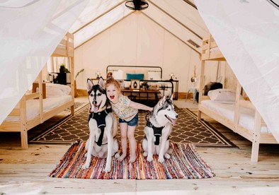 Incredible Tented Cabin with Stunning Forest Views in Sarasota, Florida - Sarasota, Florida - glamping.directory