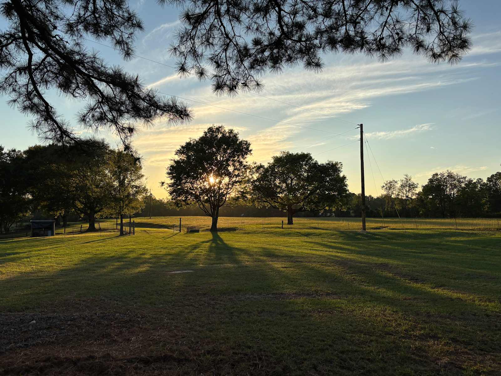 Ranch & Retreat - Okolona, Arkansas - glamping.directory