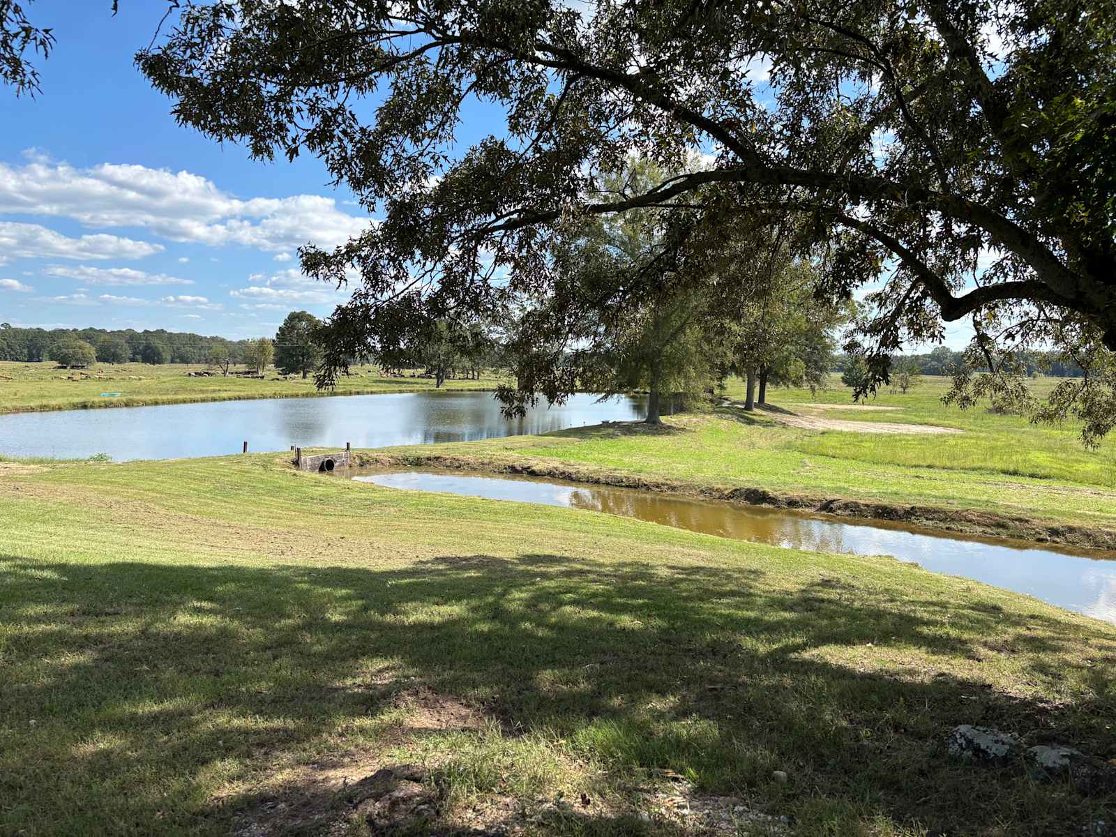 Ranch & Retreat - Okolona, Arkansas - glamping.directory