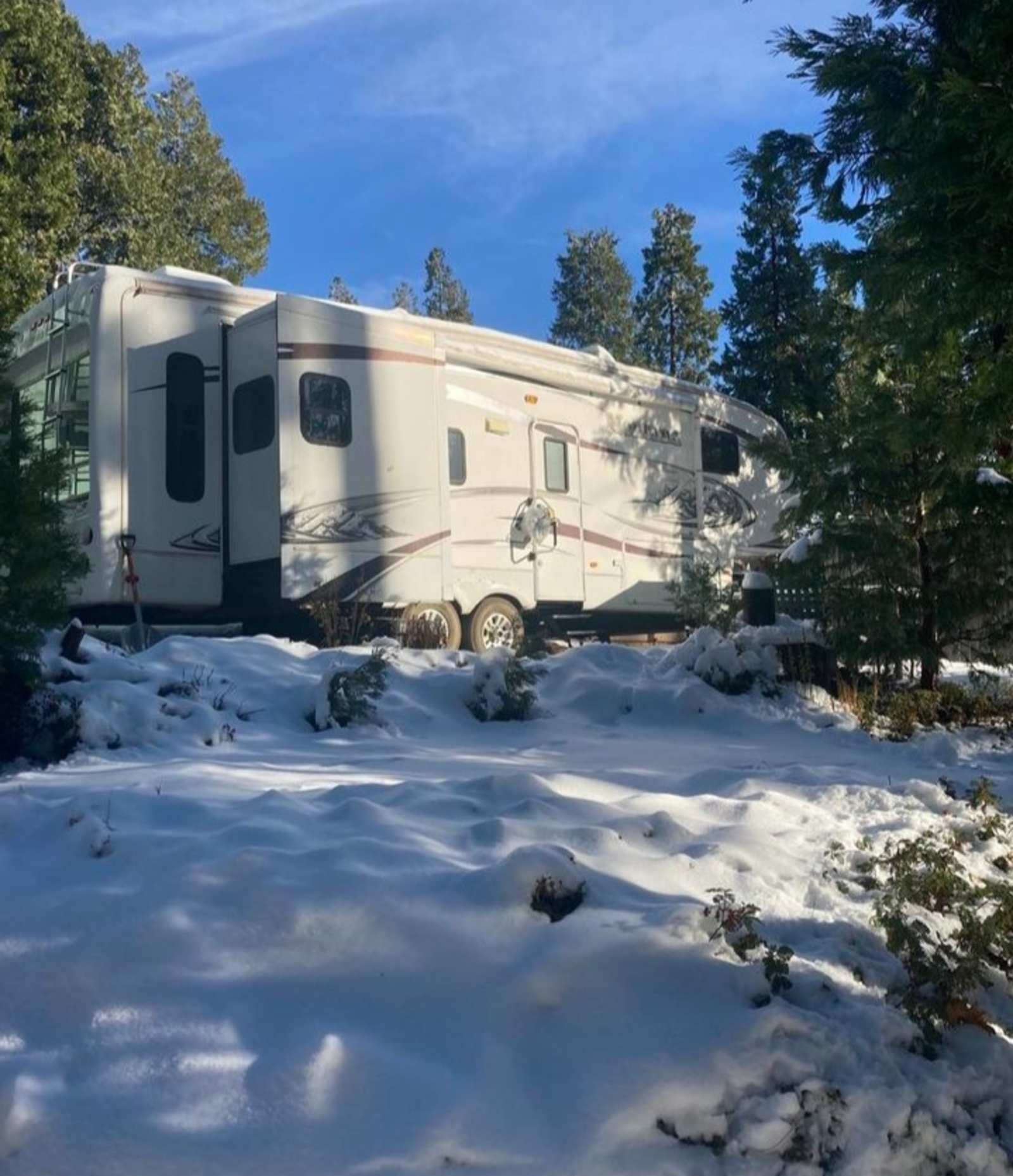Sugar Pine RV Resort - Twain Harte, California - glamping.directory