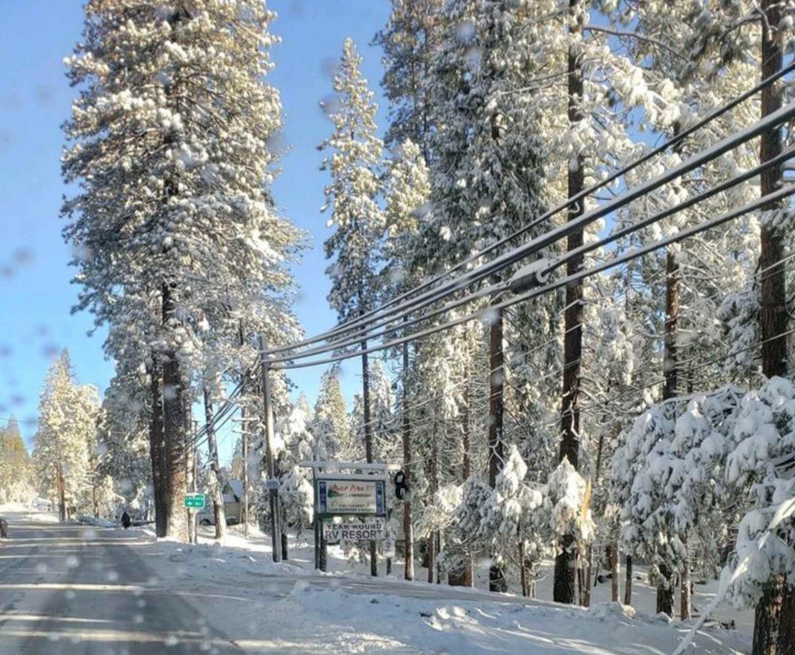 Sugar Pine RV Resort - Twain Harte, California - glamping.directory