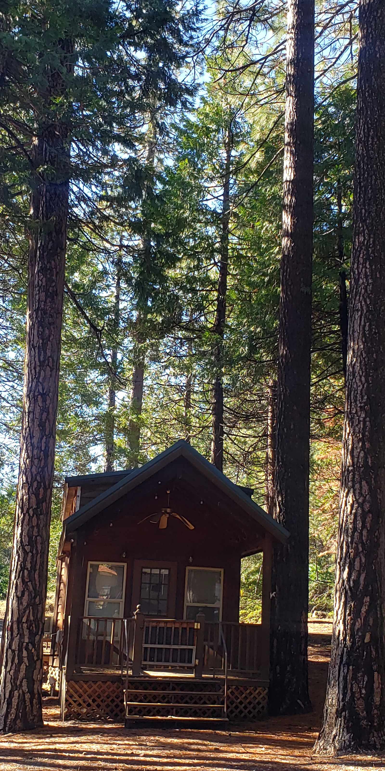 Sugar Pine RV Resort - Twain Harte, California - glamping.directory