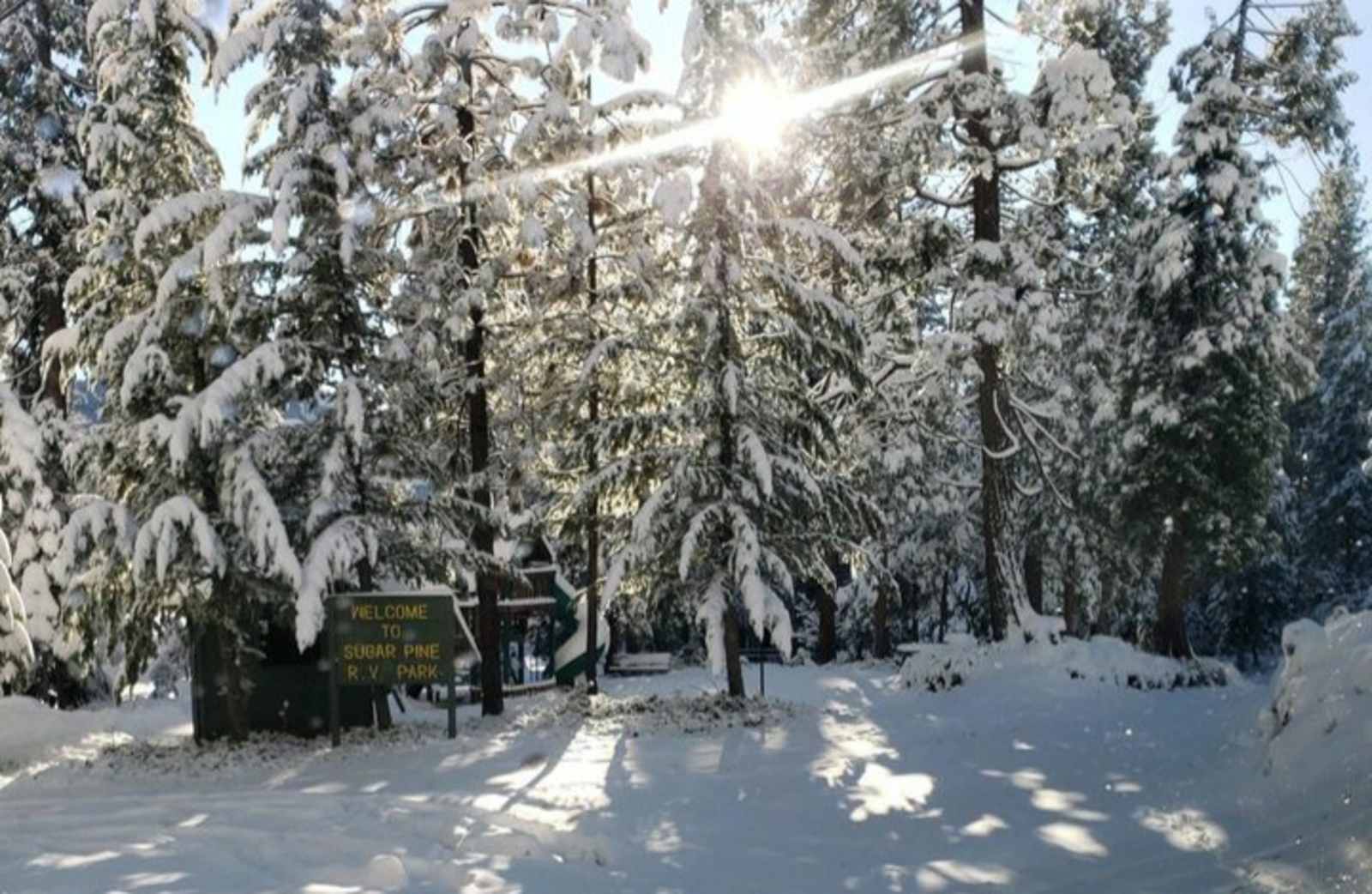 Sugar Pine RV Resort - Twain Harte, California - glamping.directory