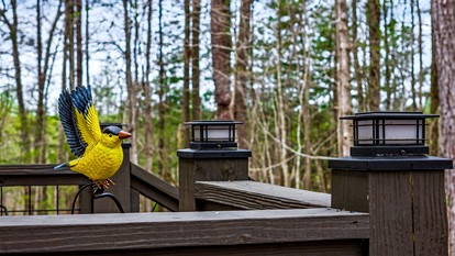 Stylish Modern Getaway with Fire Pit near DeSoto Falls in Mentone, AL - Mentone, Alabama - glamping.directory