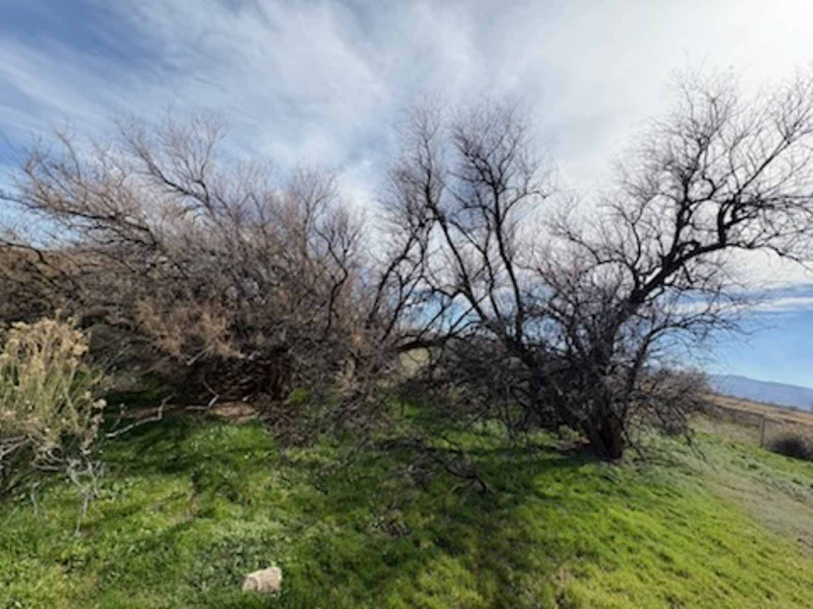 Desert Grove Basecamp - Grand Junction, Colorado - glamping.directory