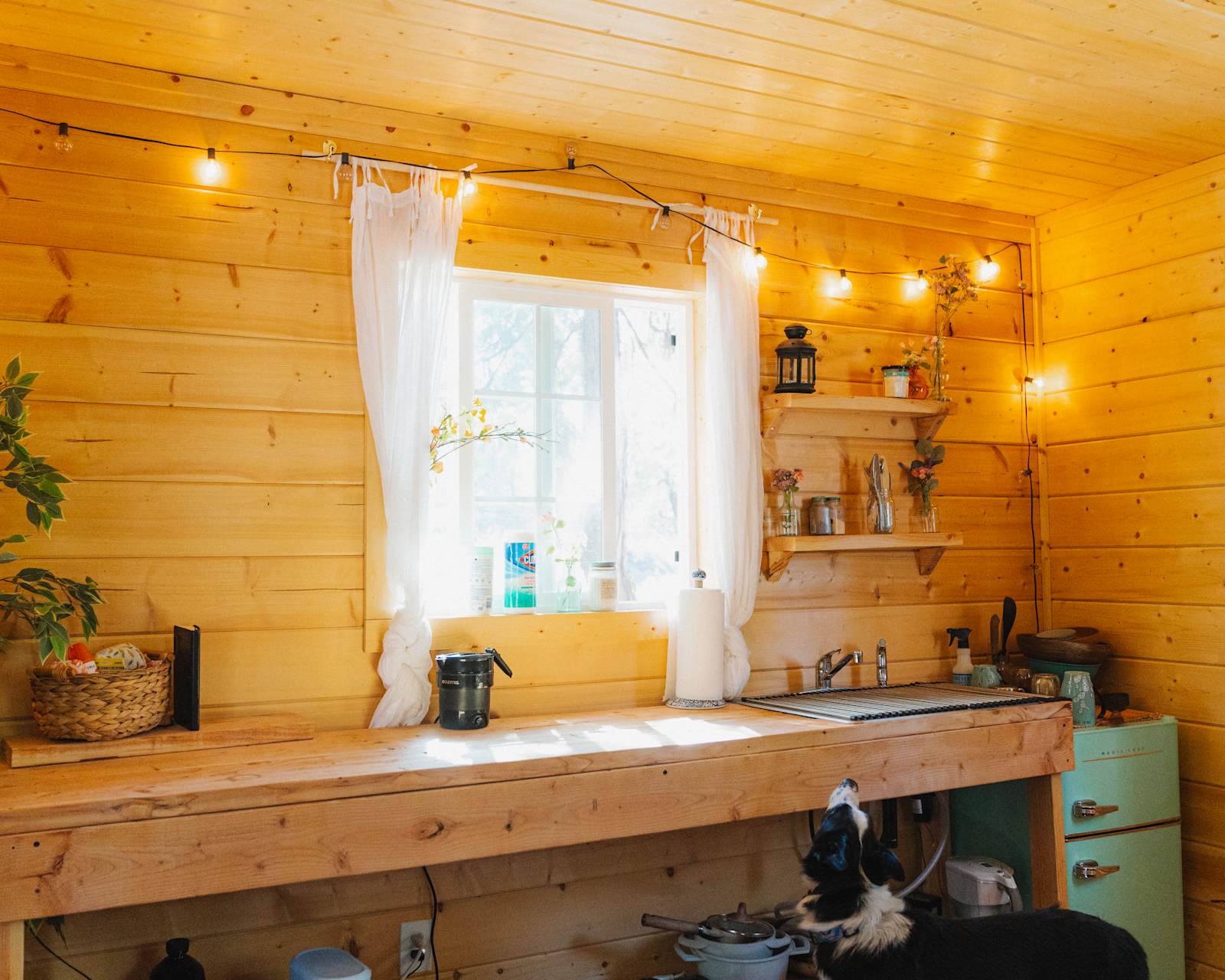 Pequena Huts - Soda Springs, California - glamping.directory