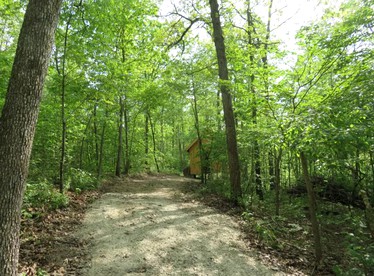 Rustic Cabin Rental with Stunning Forest Views in the Ozarks, Missouri - Salem, Missouri - glamping.directory