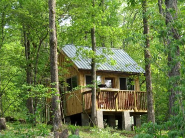 Rustic Cabin Rental with Stunning Forest Views in the Ozarks, Missouri - Salem, Missouri - glamping.directory