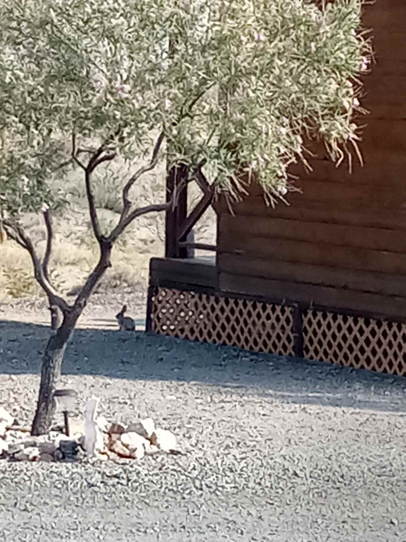 Meadview RV Park & Cozy Cabins - Meadview, Arizona - glamping.directory