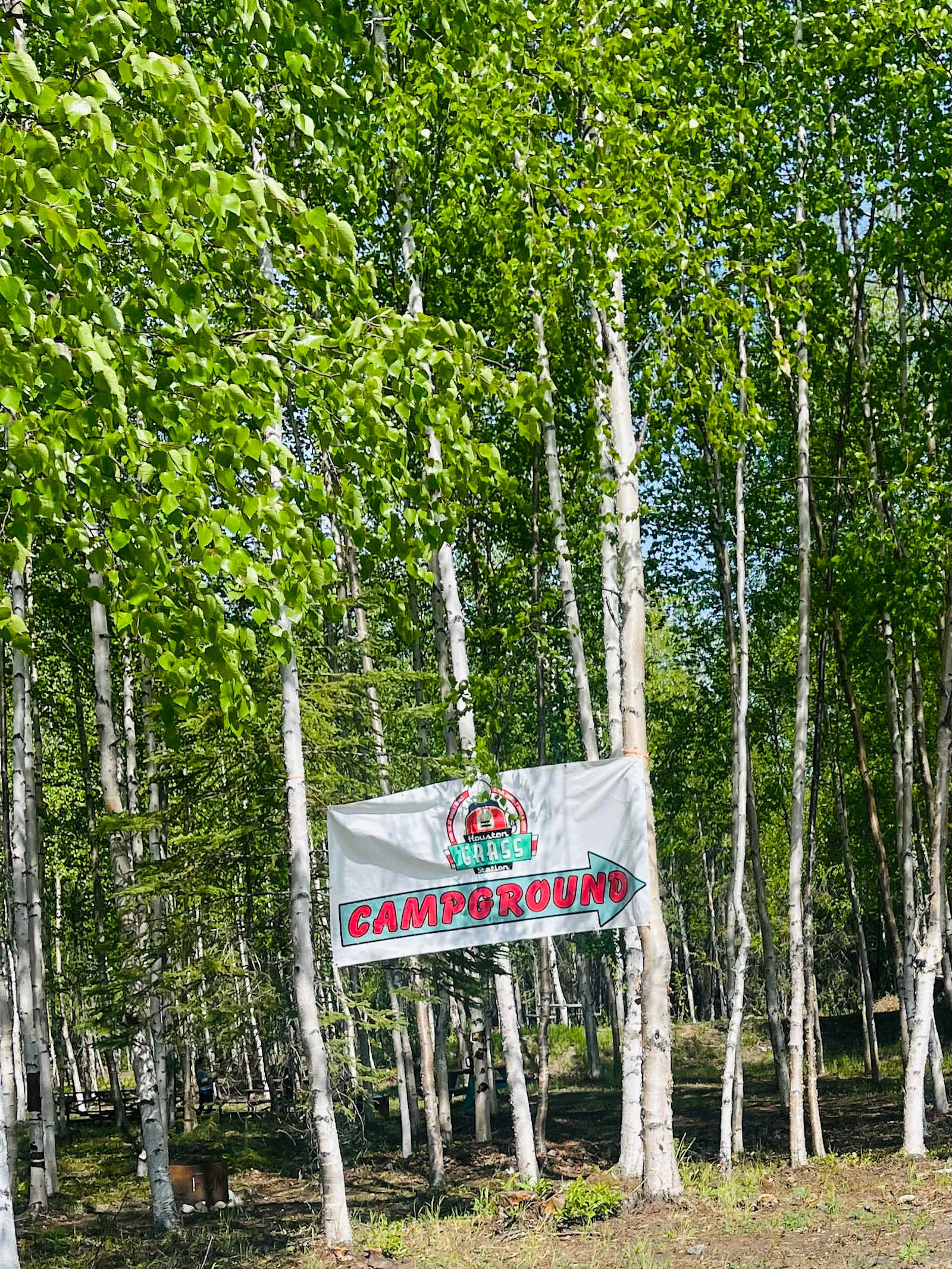 Clean Forest type camping - Wasilla, Alaska - glamping.directory
