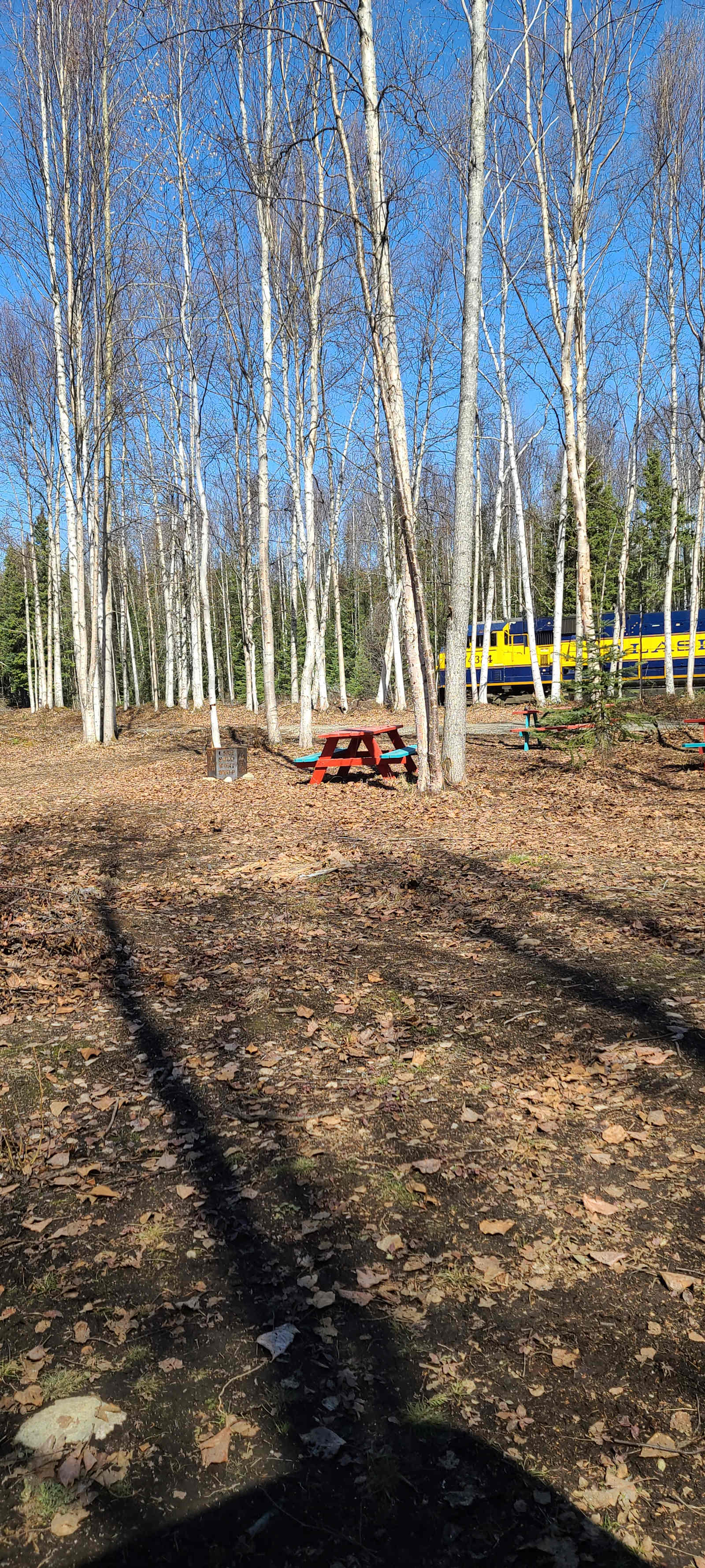 Clean Forest type camping - glamping.directory