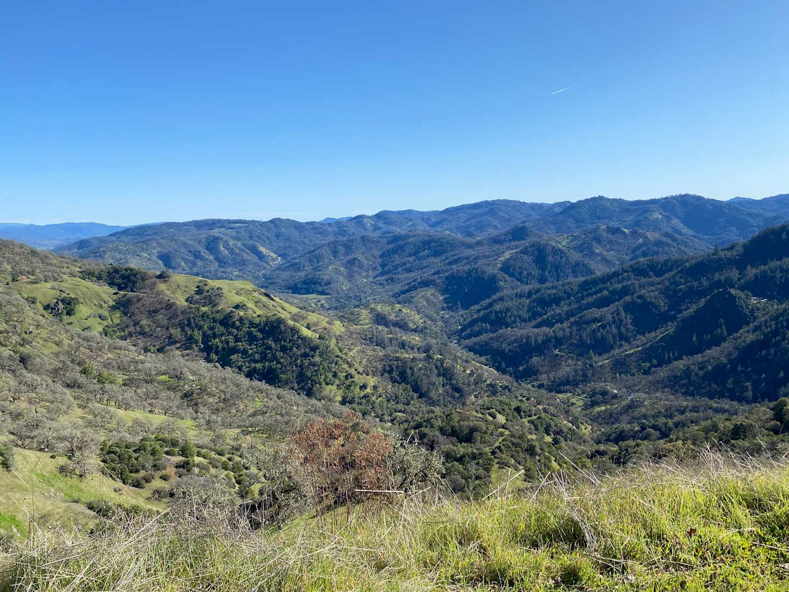 EL EL Cool Ranch - Ukiah, California - glamping.directory