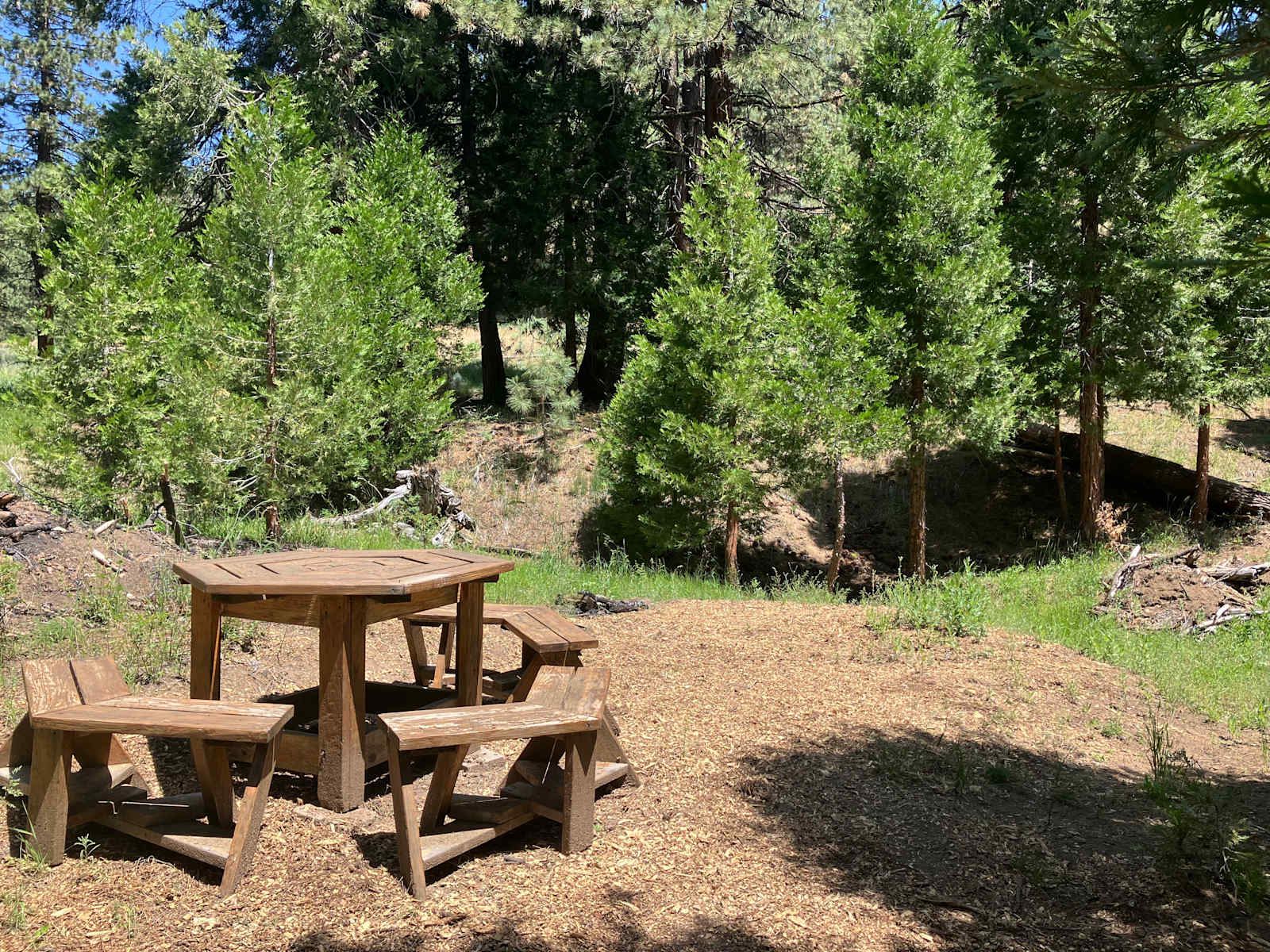Spring Creek Camping - glamping.directory