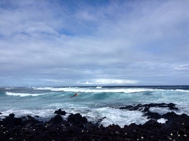 Family-Friendly Camping Cabin with Jungle View on the Big Island, Hawaii - Pahoa, Hawaii - glamping.directory