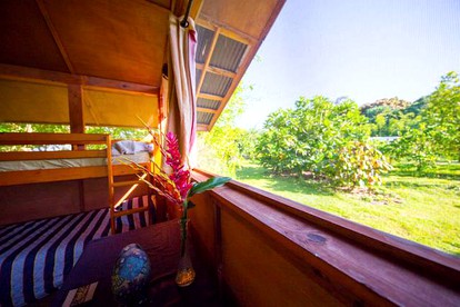Family-Friendly Camping Cabin with Jungle View on the Big Island, Hawaii - Pahoa, Hawaii - glamping.directory