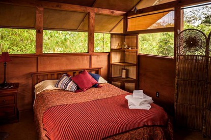 Family-Friendly Camping Cabin with Jungle View on the Big Island, Hawaii - Pahoa, Hawaii - glamping.directory