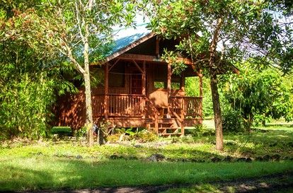 Family-Friendly Camping Cabin with Jungle View on the Big Island, Hawaii - glamping.directory