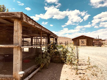 Rustic Ranch Cabin Rental in the Granite Range and Hualapai Valley of Nevada - glamping.directory