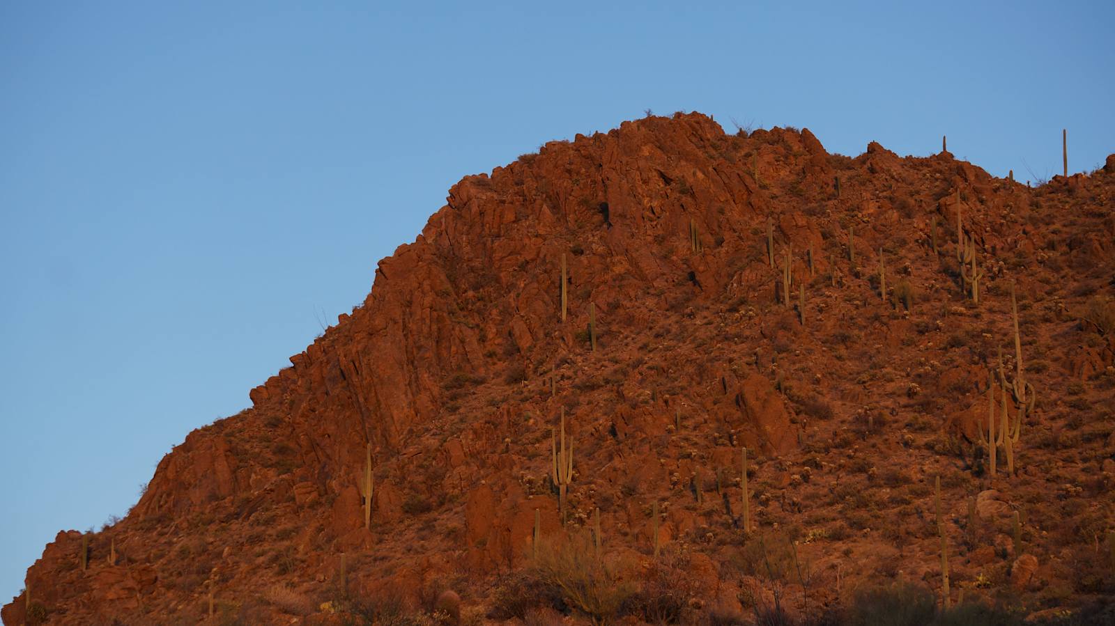 SaguaroGlamp, near Saguaro NP - Picture Rocks, Arizona - glamping.directory