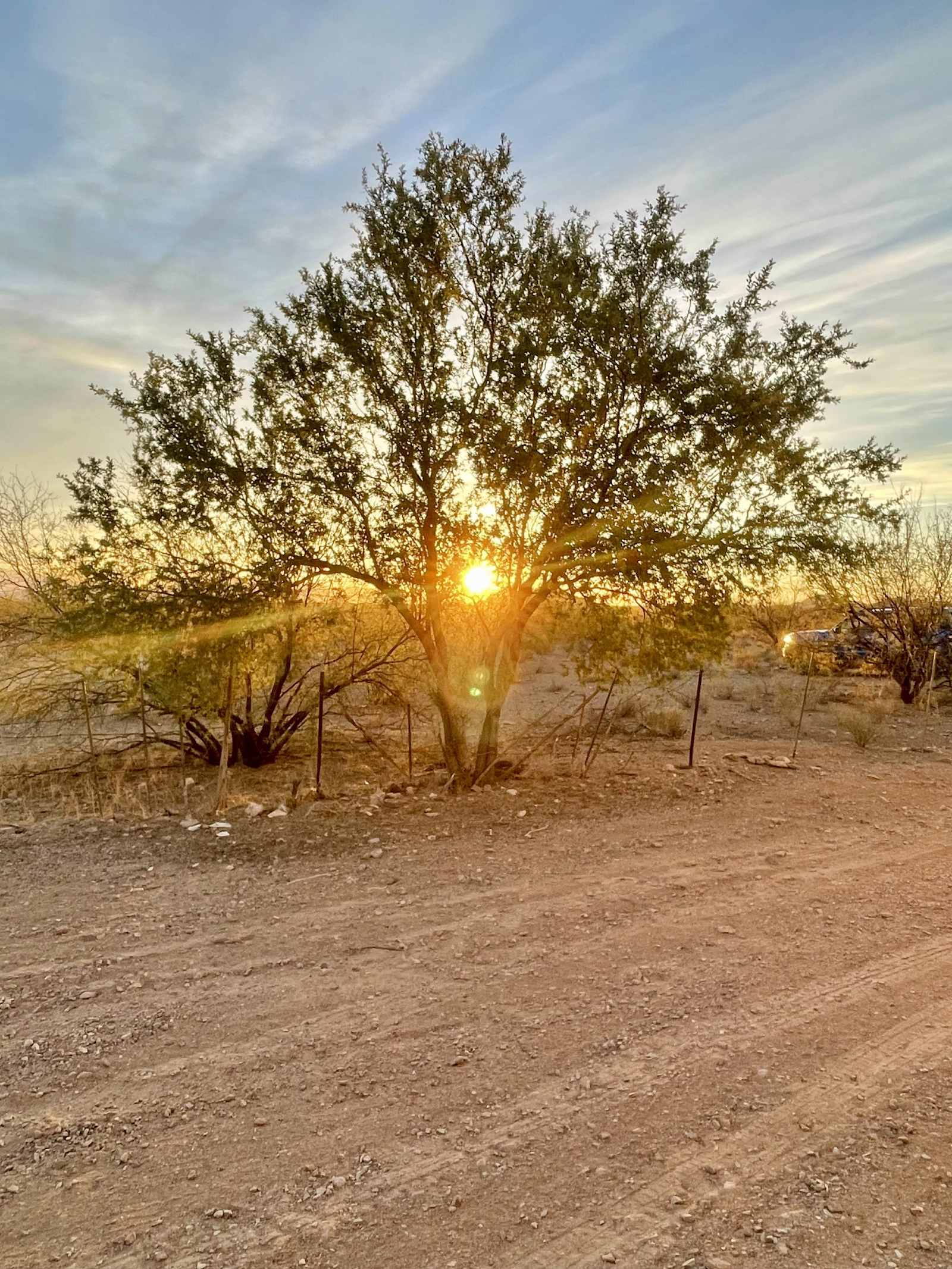 SaguaroGlamp, near Saguaro NP - Picture Rocks, Arizona - glamping.directory