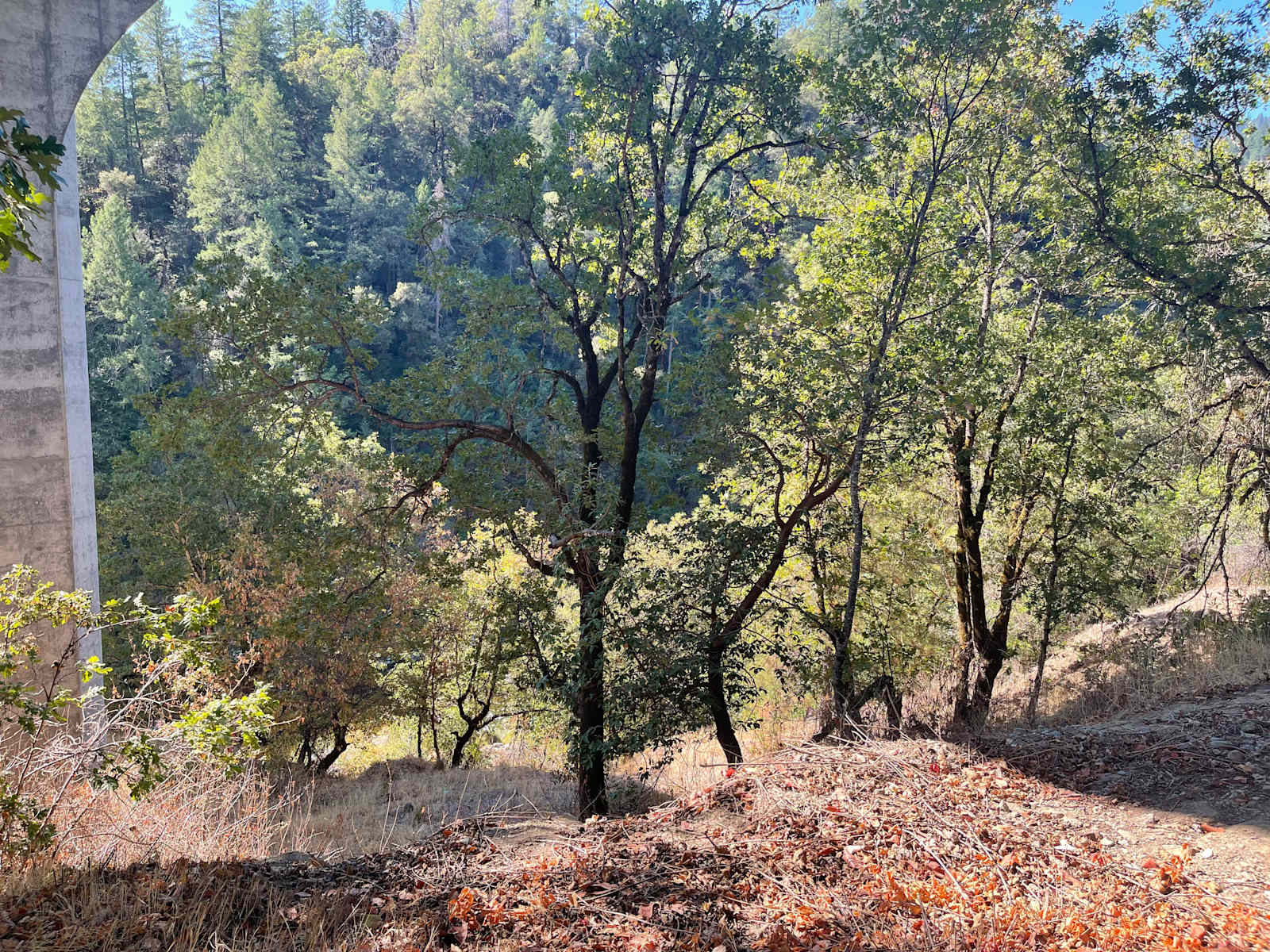 Osprey’s Perch - Hoopa, California - glamping.directory