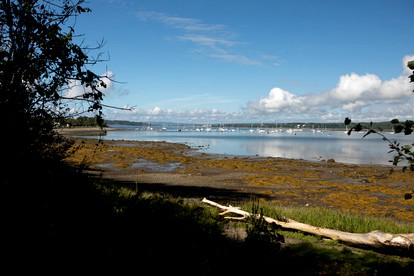 Tranquil Beach Getaways in Stockton Springs, in Yurt Rentals Nestled Along the Maine Coast - Stockton Springs, Maine - glamping.directory