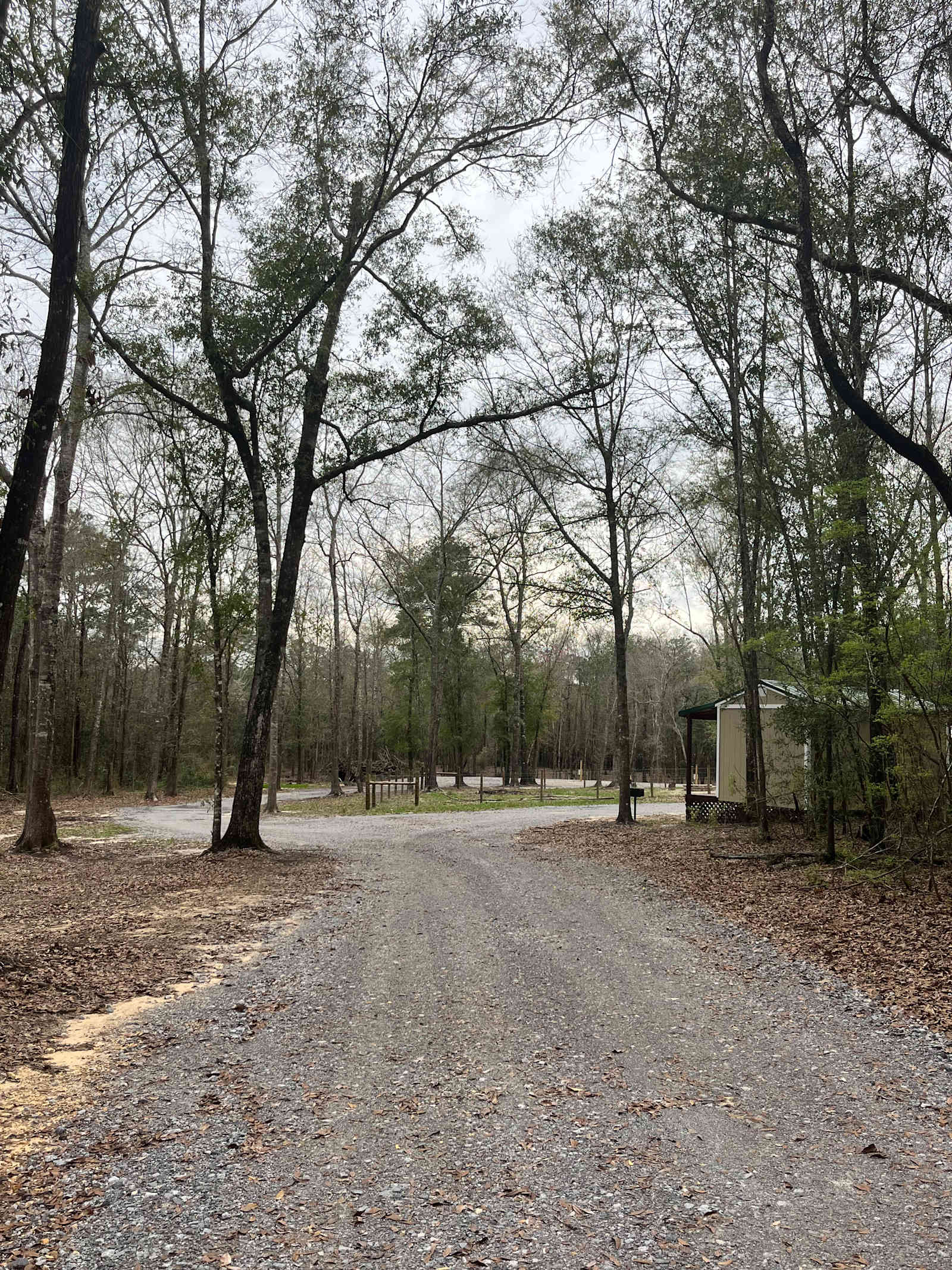 Lake City Campground - Florala, Alabama - glamping.directory