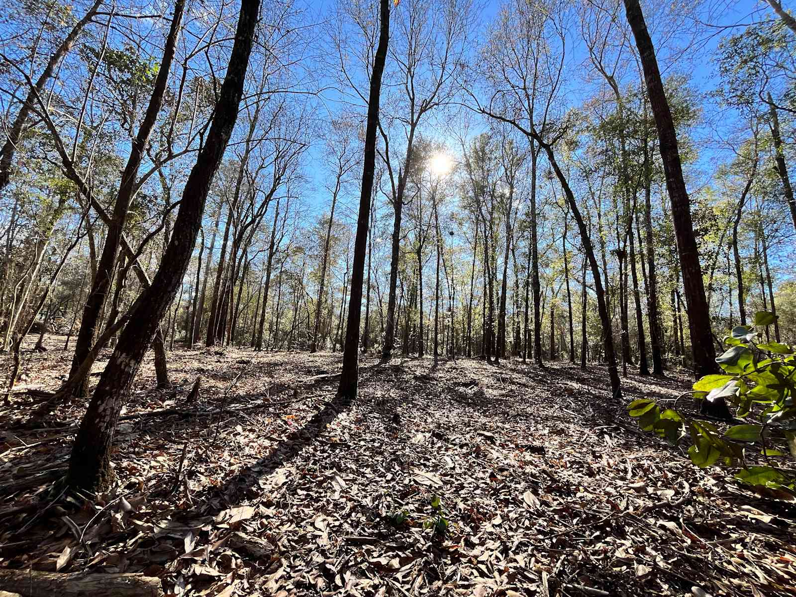 Lake City Campground - Florala, Alabama - glamping.directory