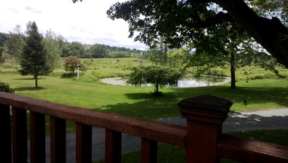 Enchanting Secluded Cabin Rental near Salem, New York - Salem, New York - glamping.directory