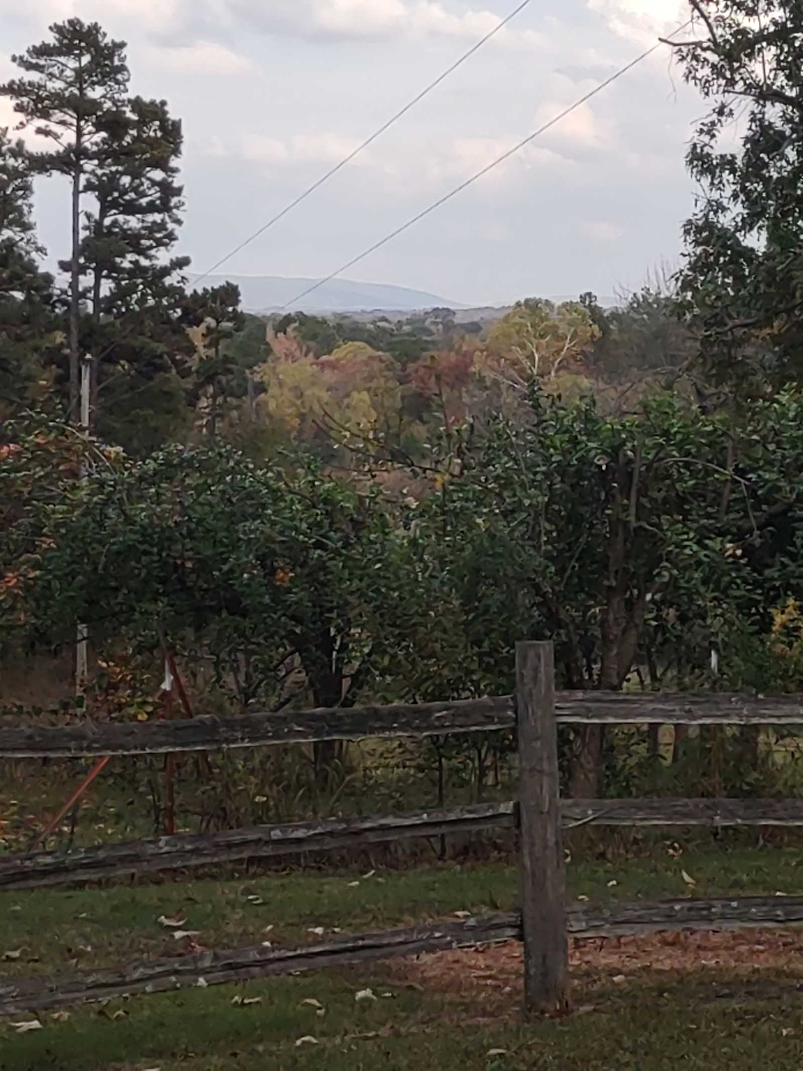 Hideaway Acres - Waldron, Arkansas - glamping.directory