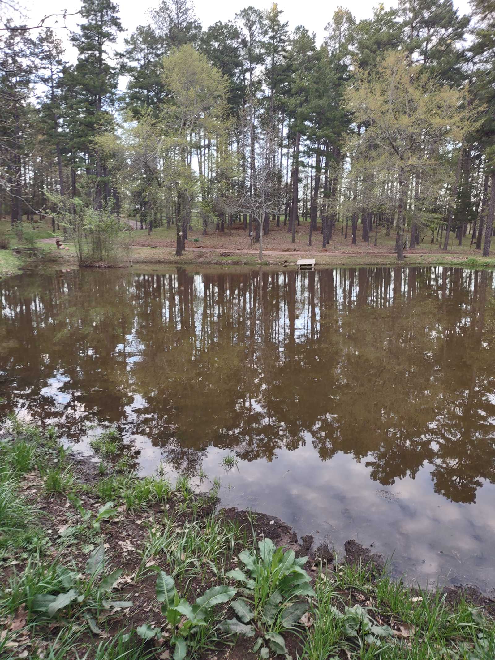 Hideaway Acres - Waldron, Arkansas - glamping.directory